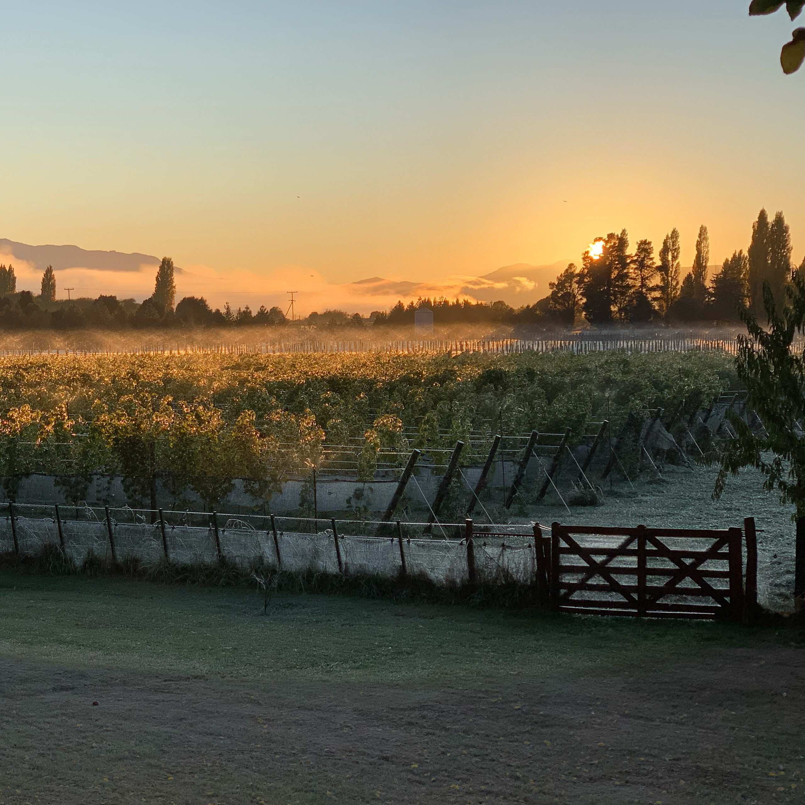 0D49B843-2139-4408-B559-F0204CDED3B9