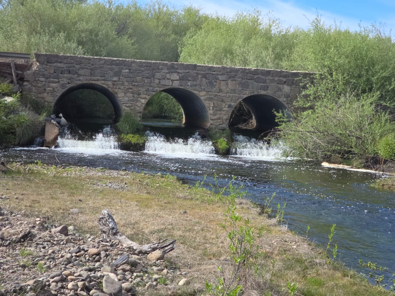 69546588-d700-4e6b-aeb4-425829af8bbb