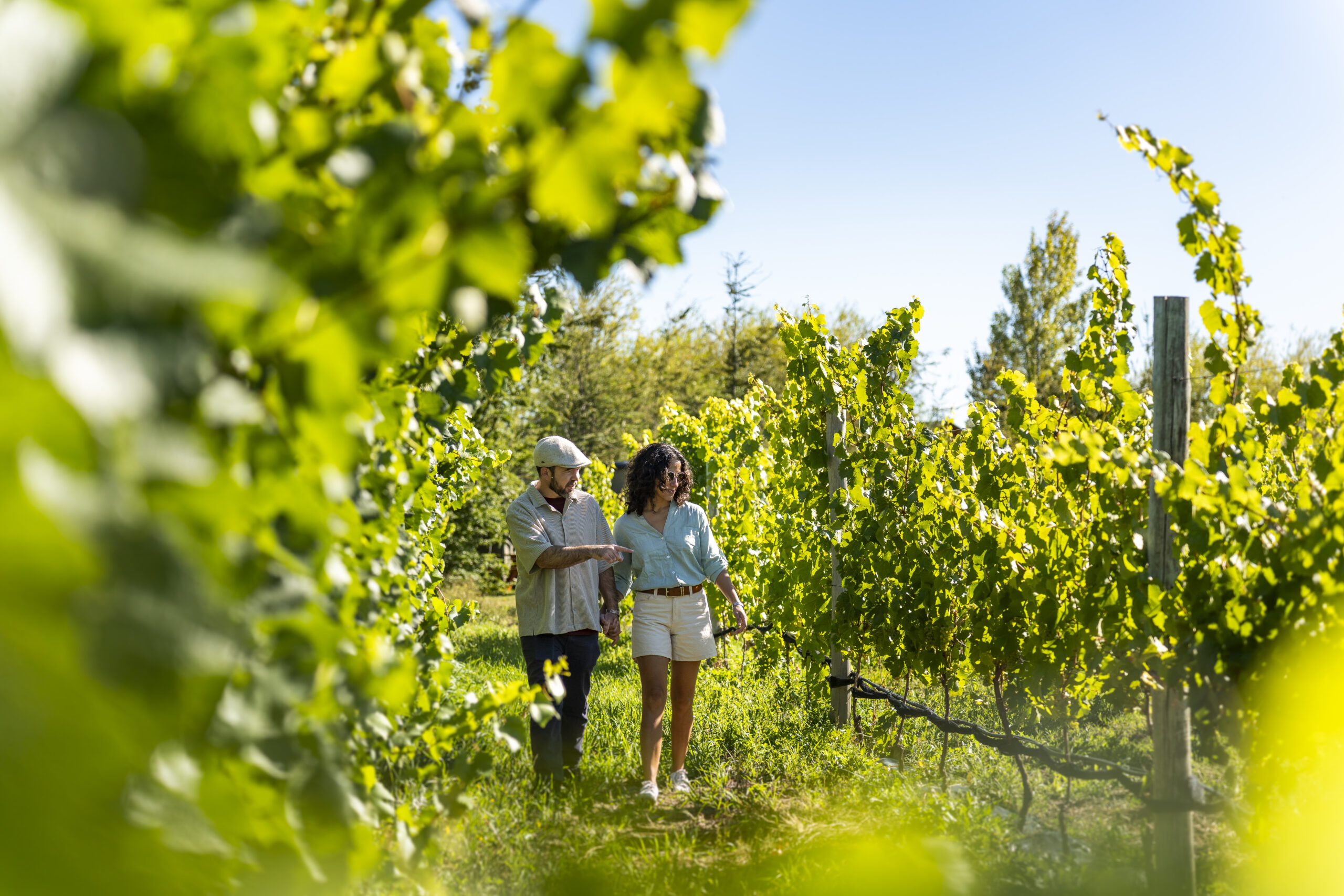 FIVIT 2026 - Fiesta de los Viñedos de Trevelin